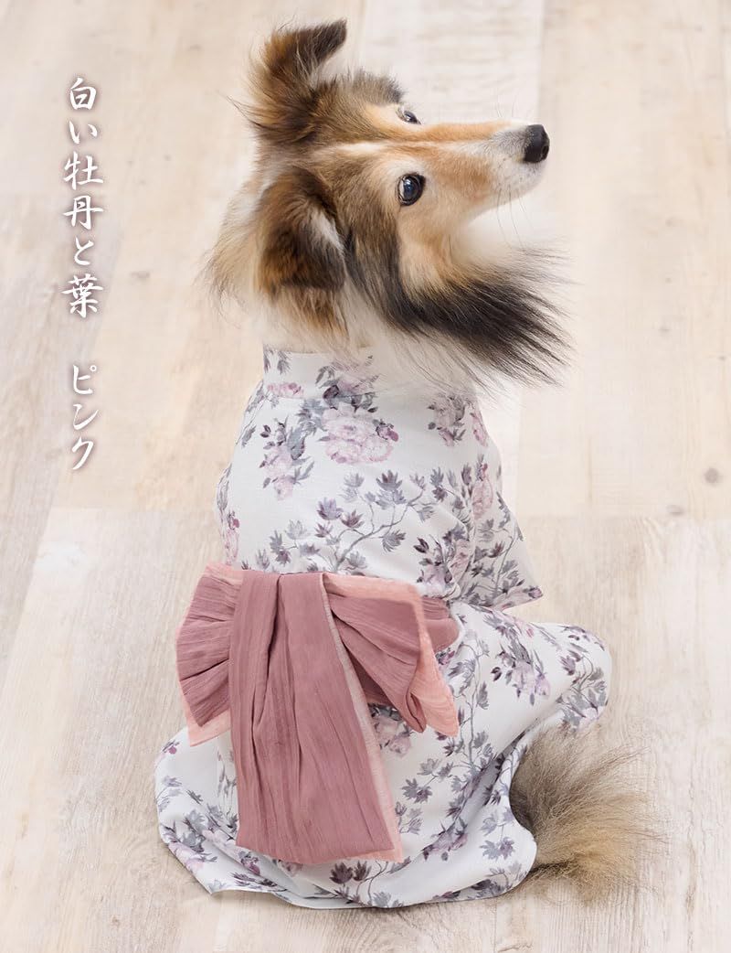 犬 いぬ