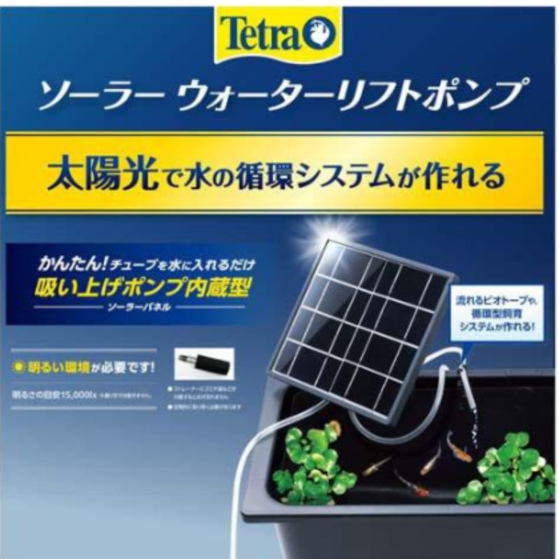 テトラ