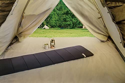 幅約50×長さ約170×厚さ約3.5 cm