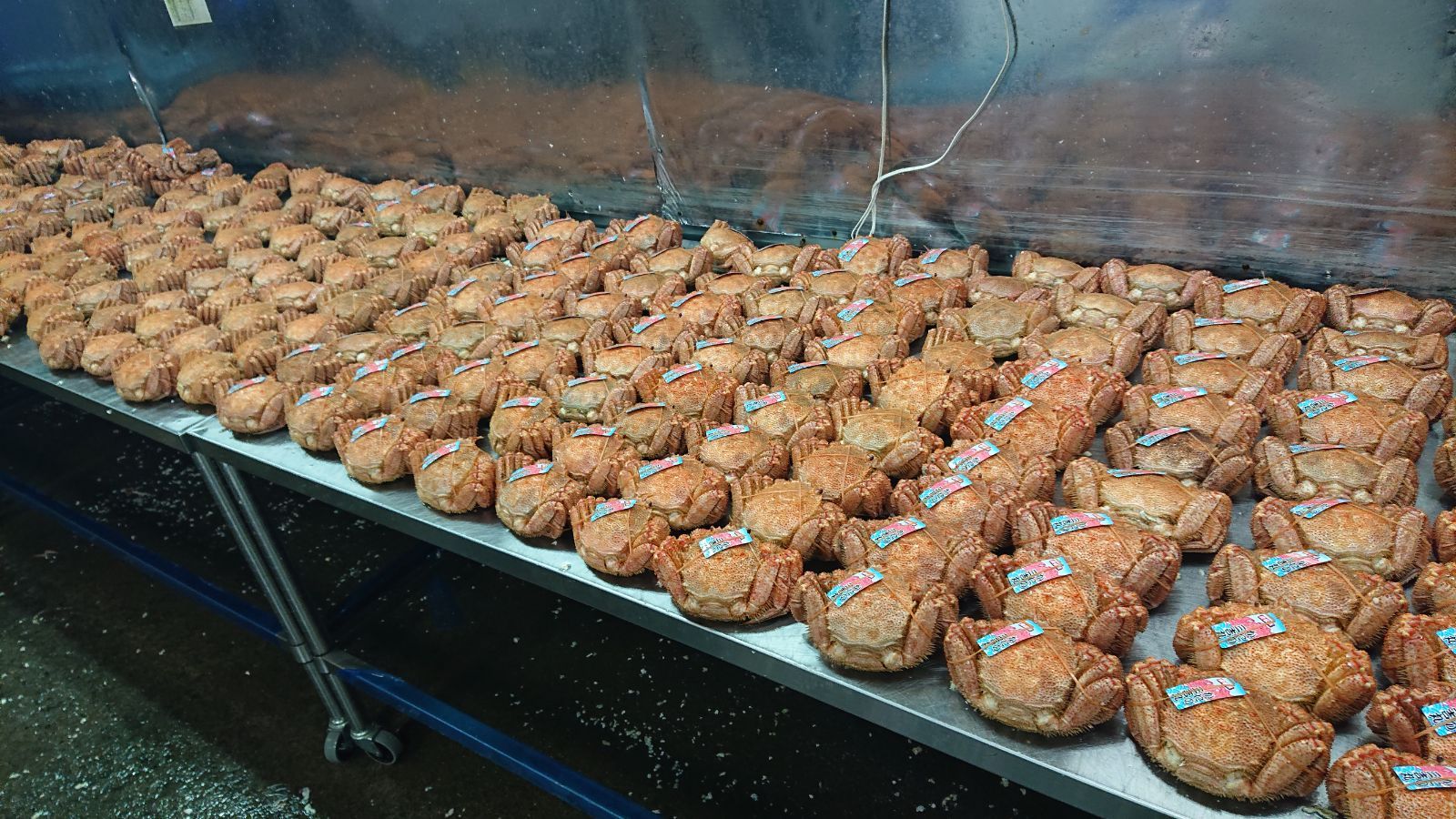北海道産冷凍毛がに13尾入4キロ１箱売 1尾平均307ｇ