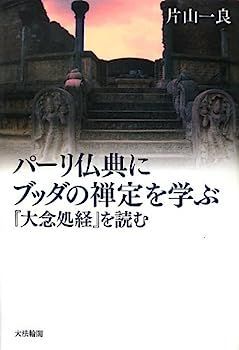 驚きの破格値，新作登場 【中古】パーリ仏典にブッダの禅定を学ぶ?『大念処経』を読む その他