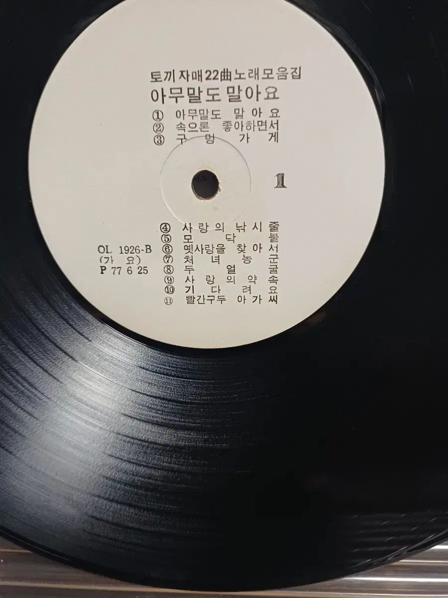 バニーガールズ