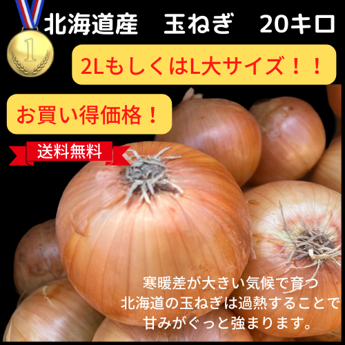 北海道産　玉ねぎ　正規品2L  ２０キロ