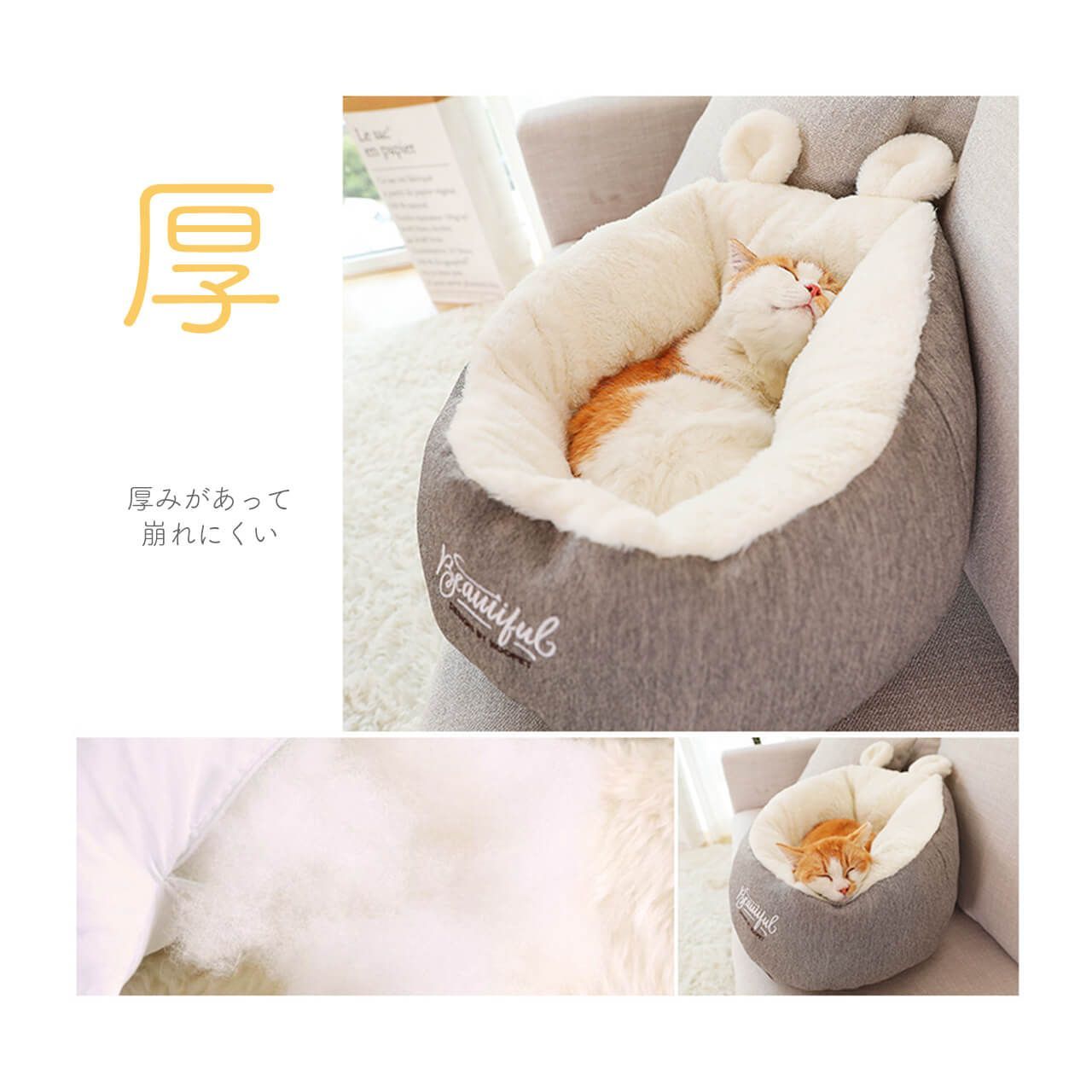 犬 猫