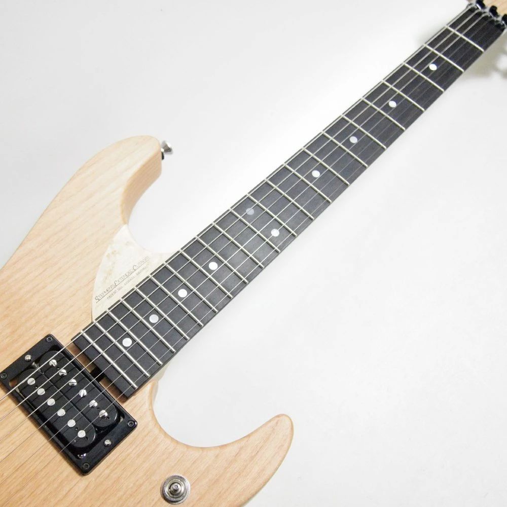 Washburn N4 USA / ワッシュバーン ヌーノモデル Washburn USA N4