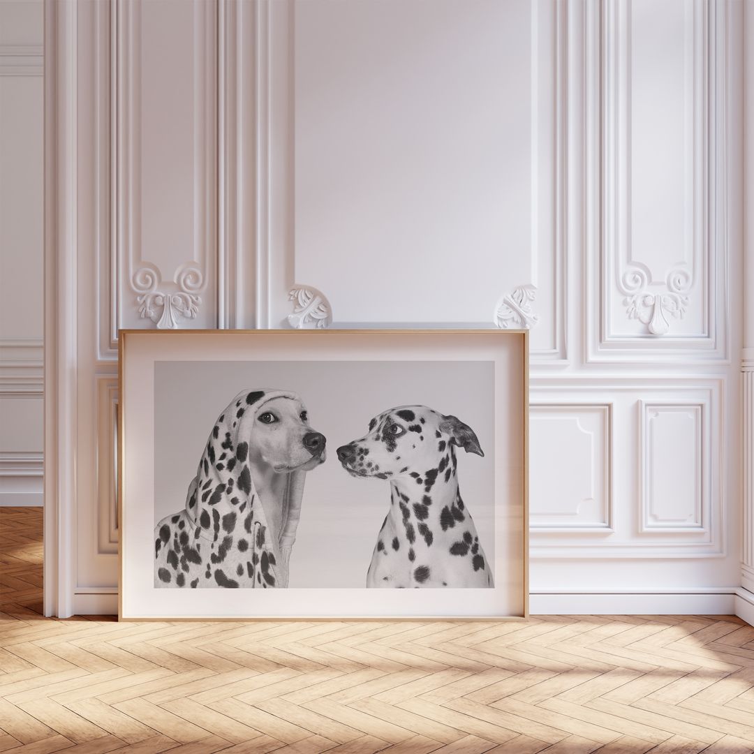 アートポスター ダルメシアン モノクロ 白黒 犬 写真 インテリア