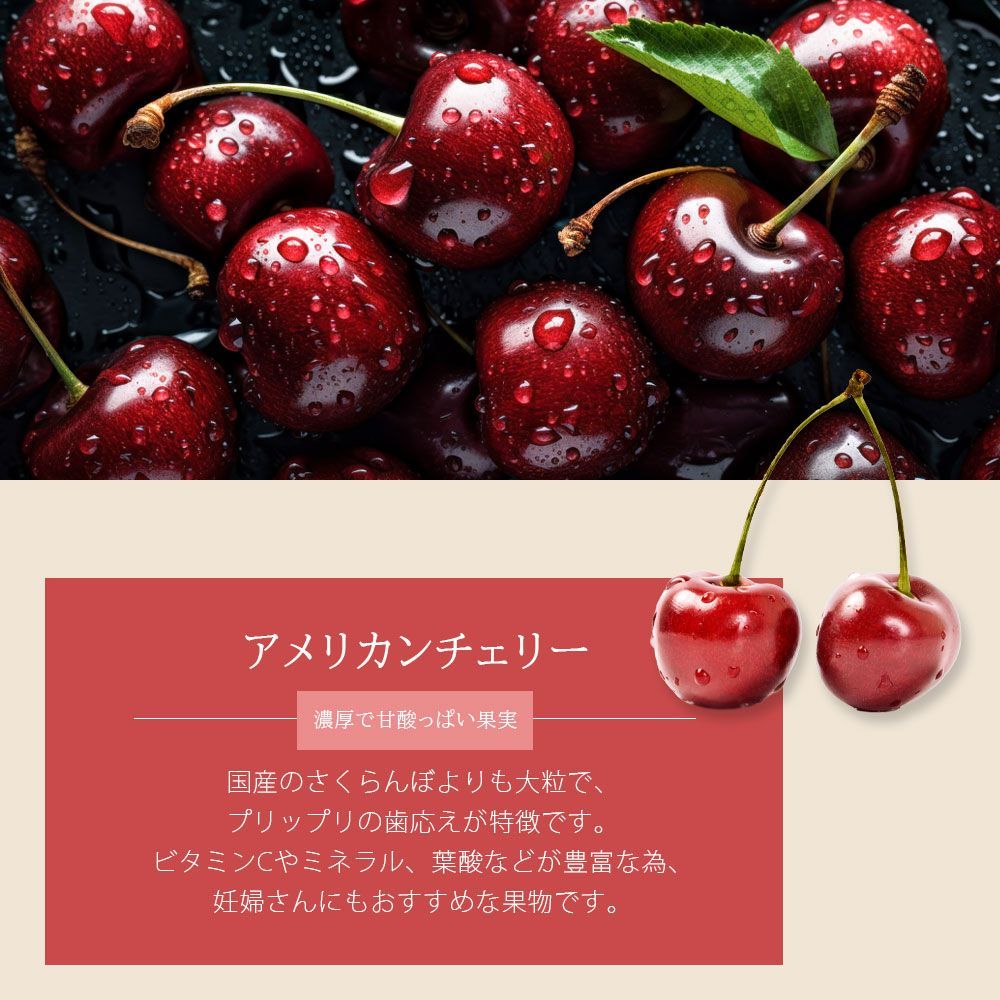 アメリカンチェリー 約500g 大粒 (国産さくらんぼ2Lサイズ強
