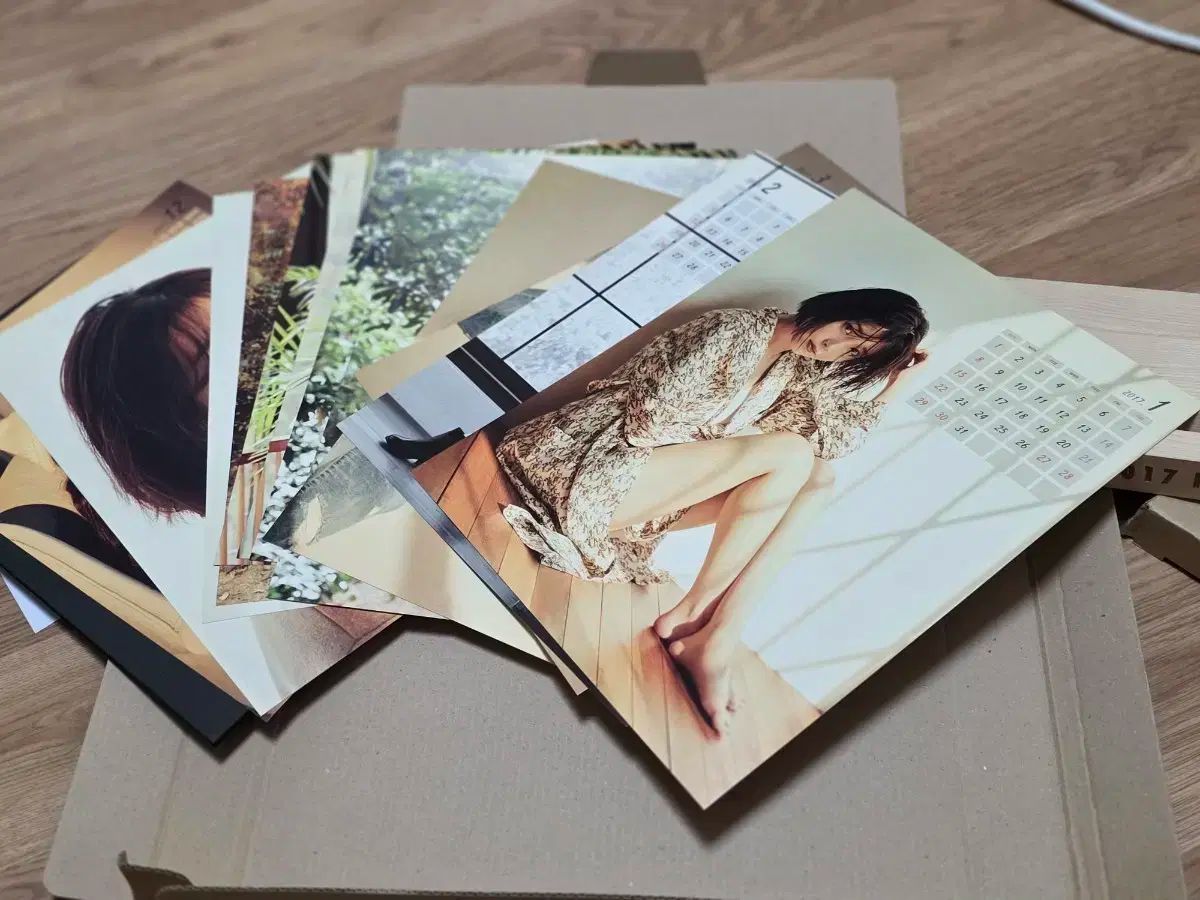 新品】ヴァンガード ミネルヴァ サプライ3点セット ヴァンガード