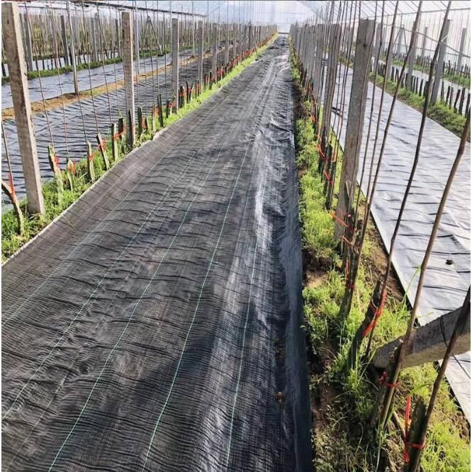 高透水 草よけシート
