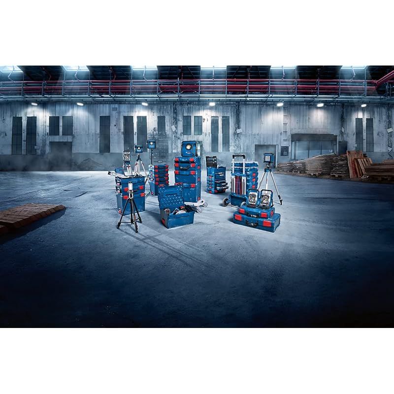 Bosch Professional ボッシュ L-BOXX エルボックス ボックスSパーツ入れ2付き L-BOXX102S2N 1