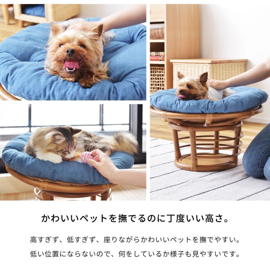 腰掛