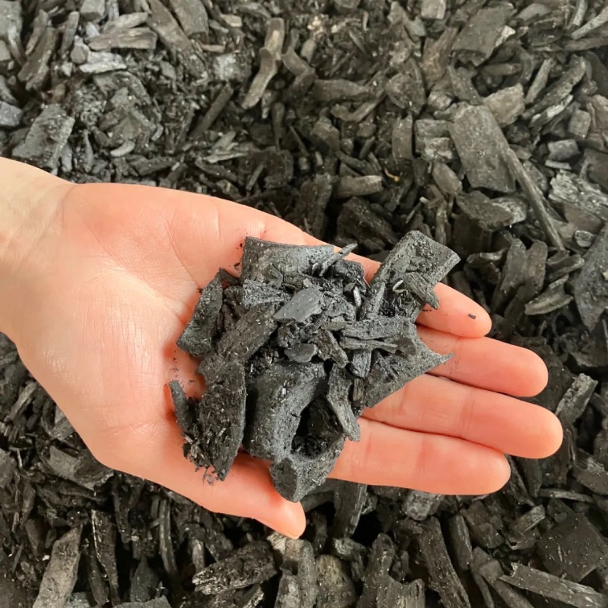 竹炭 未粉砕