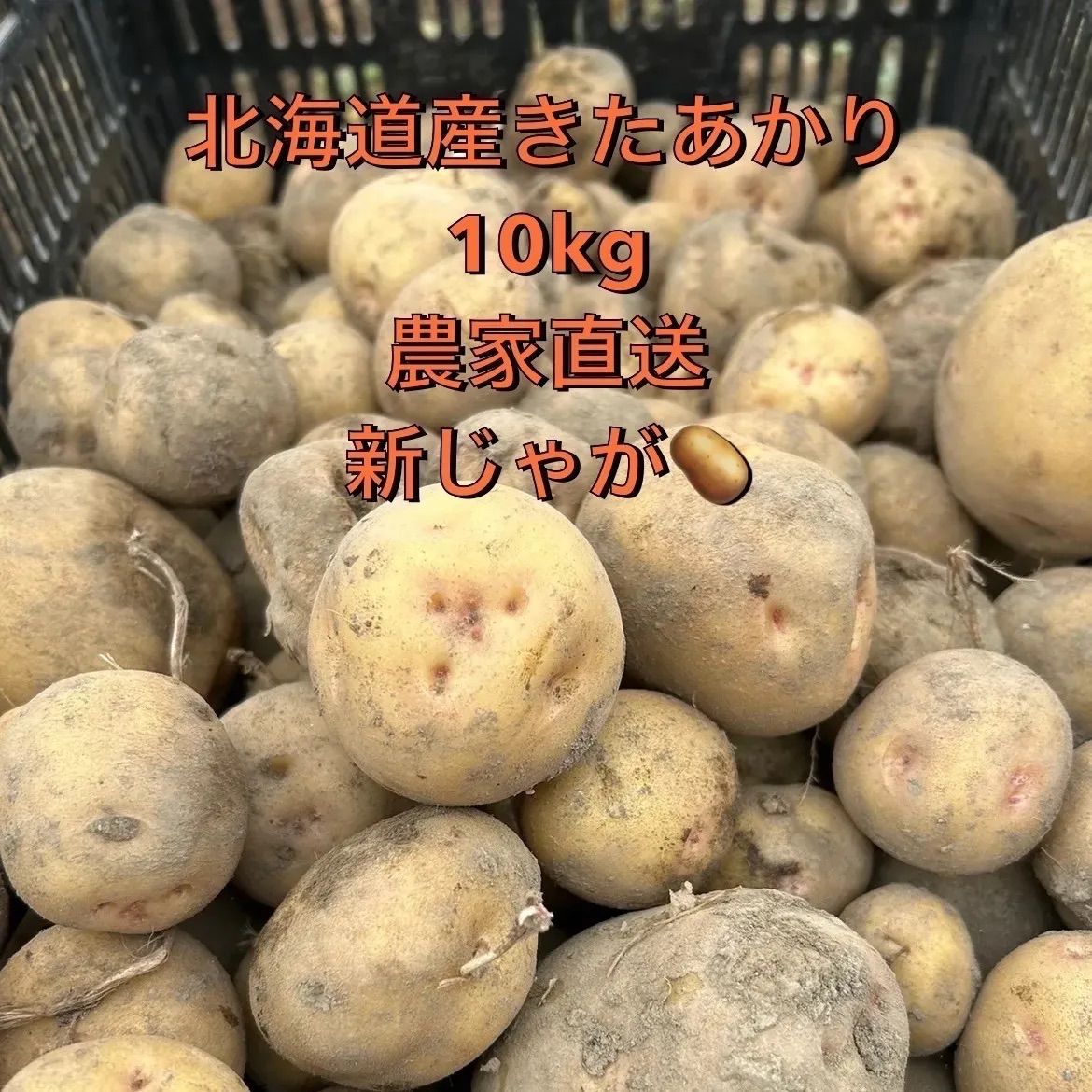 北海道産 じゃがいも 箱込み10kg 新じゃが きたあかり - メルカリ