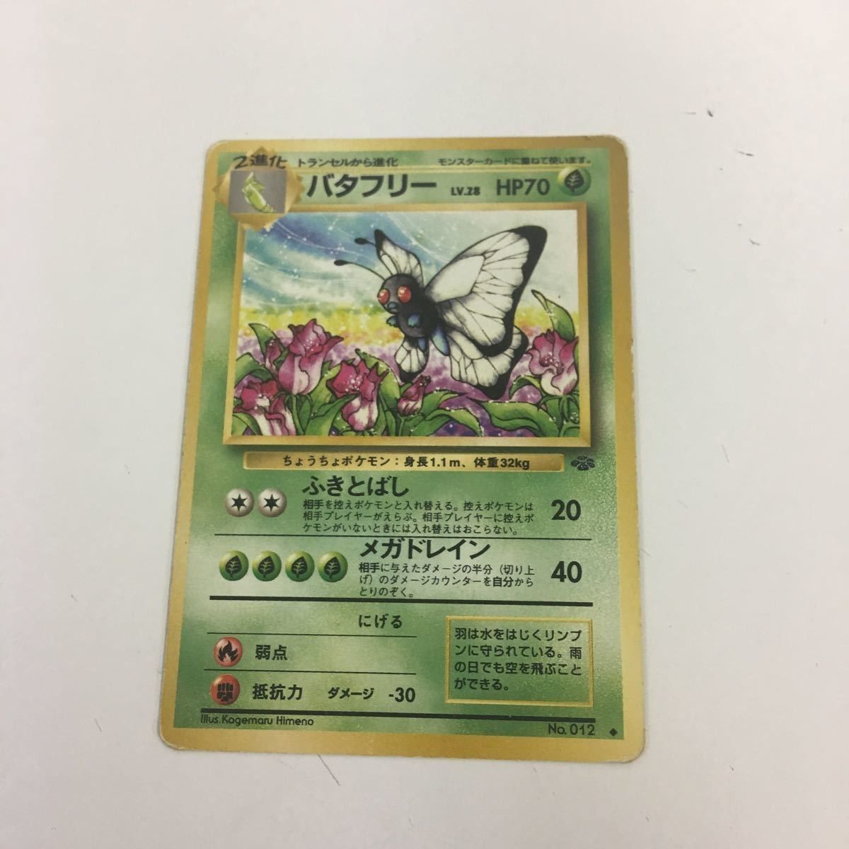 ポケモンカード 旧裏 パウワウ ジュゴンの通販 ベル（348080037