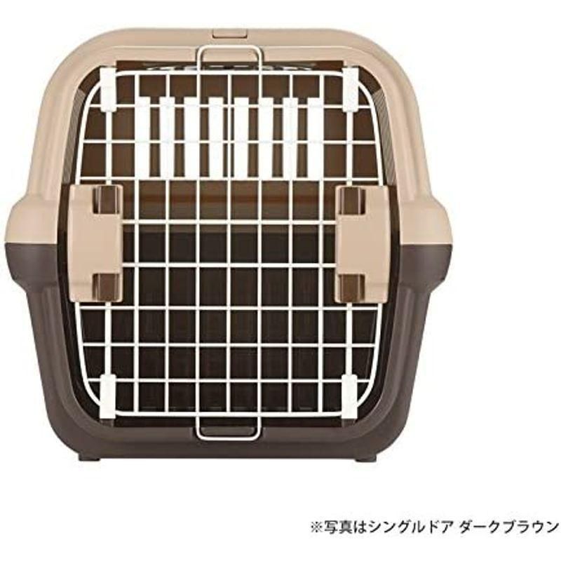 猫 保護犬