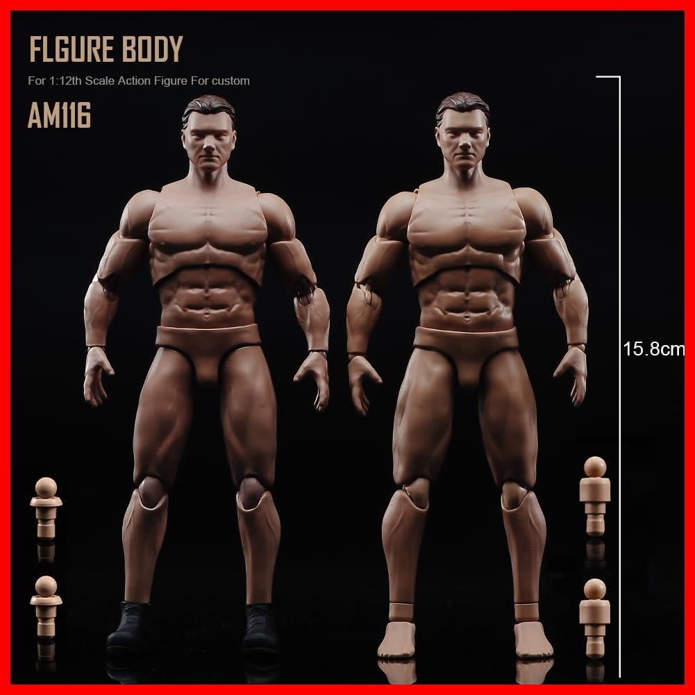 ク ー ポ ン 有☆彡6インチ男性の体型モデル 1/12スケールアクション