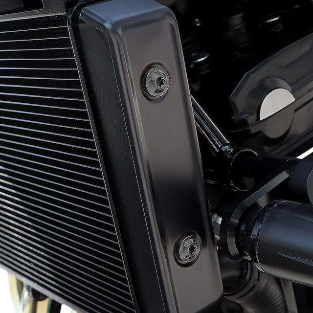 TECH-MASTER チタンボルト Z900RS Z900RS CAFE カスタム パーツ ラジエター サイドカバー用 ボルトセット トルクス ヘッド ブラック BS0047