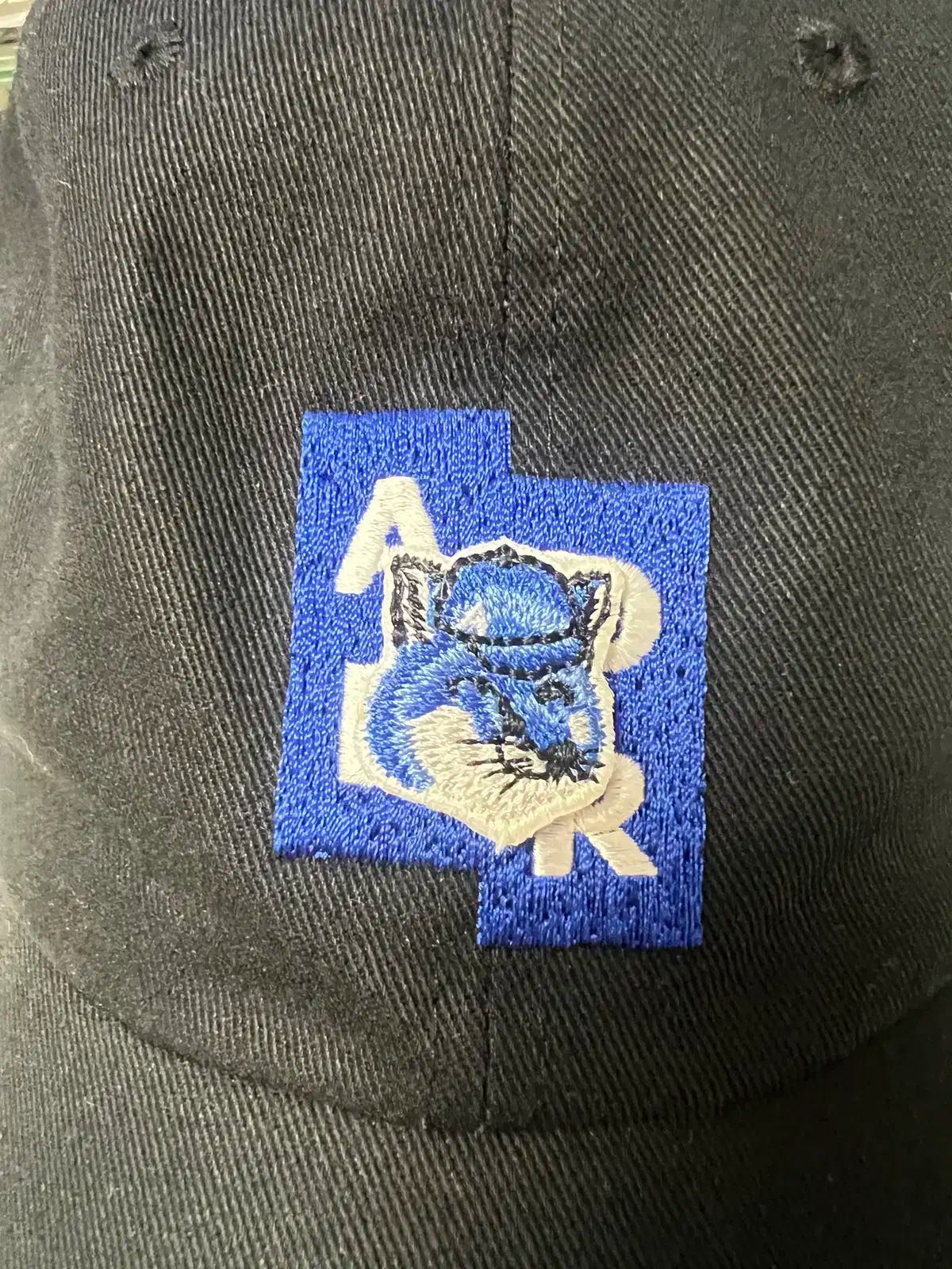 ADER ERROR(アーダーエラー) x Maison Kitsuné(メゾンキツネ