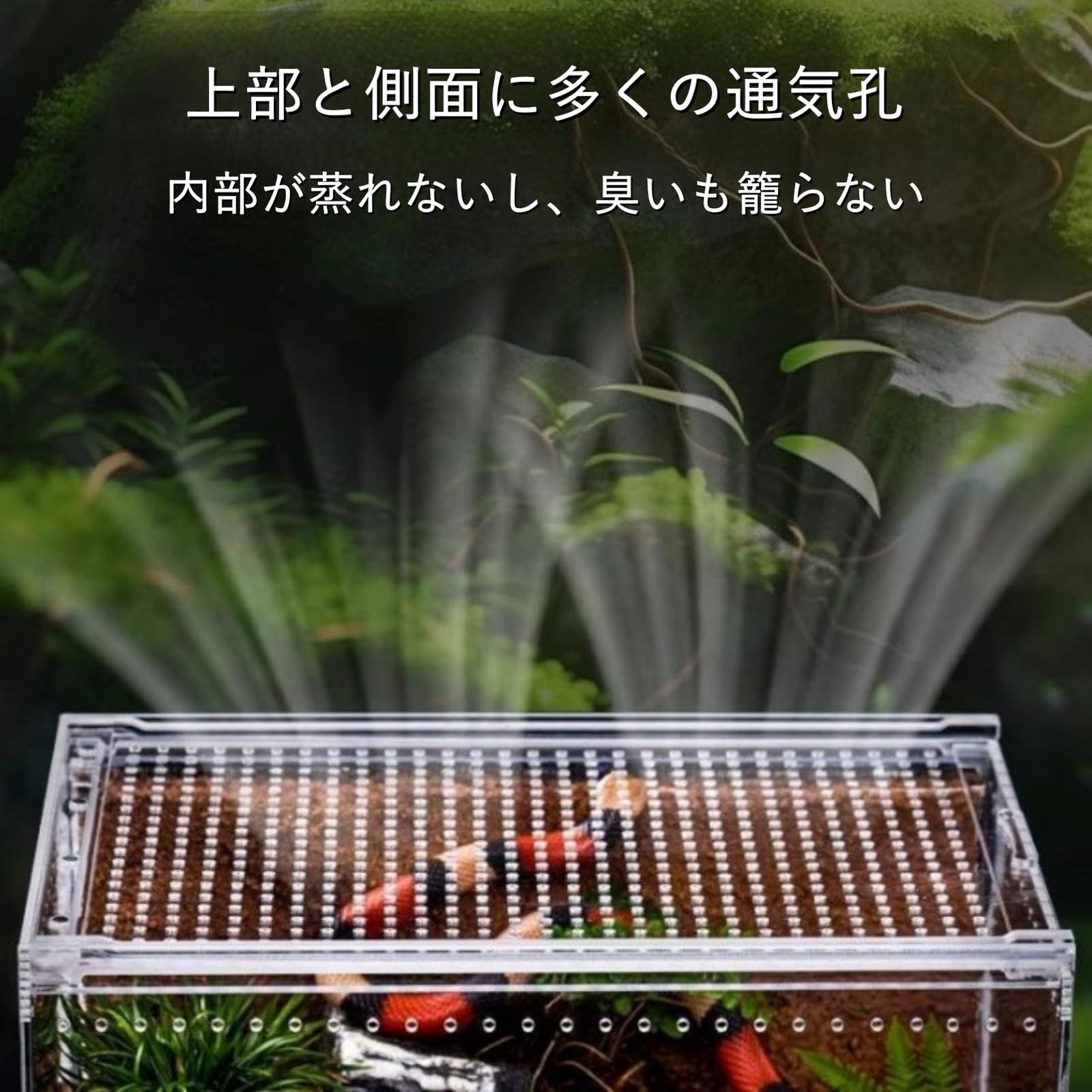 COZENTA 爬虫類 ケージ シェルター アクリル製 トカゲ 蛇 サソリ 飼育