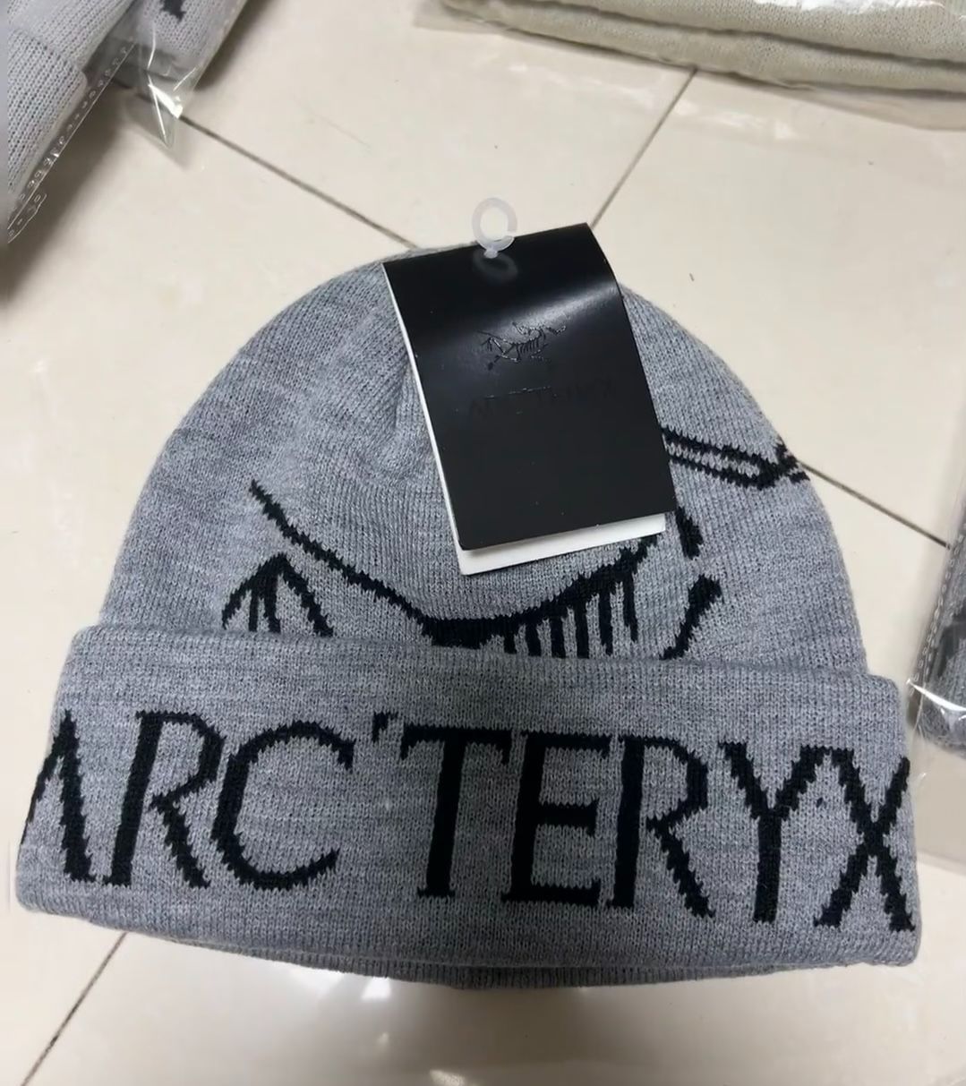 Arc'teryx Bird Word Toque ビーニー 　ニット帽子　グレー