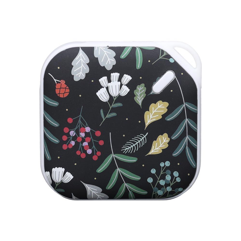 ミキプルーン ＊a-yu-ya＊さん専用