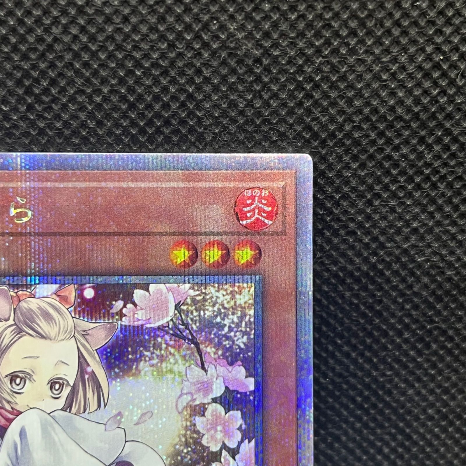 遊戯王 灰流うらら クォーターセンチュリーシークレットレア