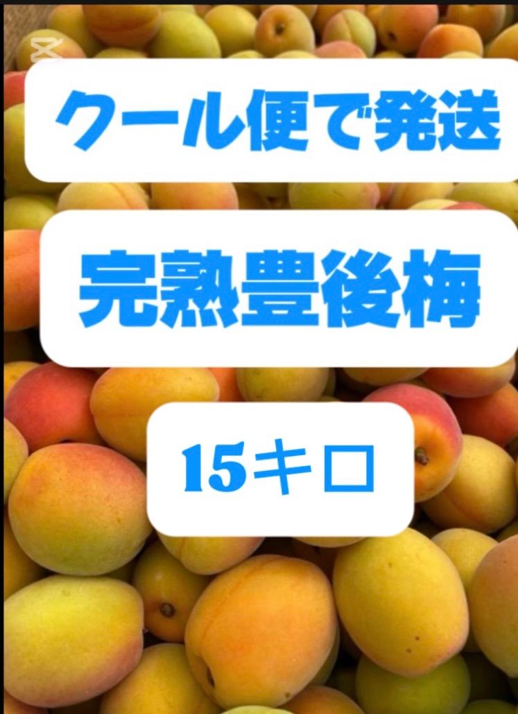 完熟豊後梅 15キロ箱込み クール便で発送