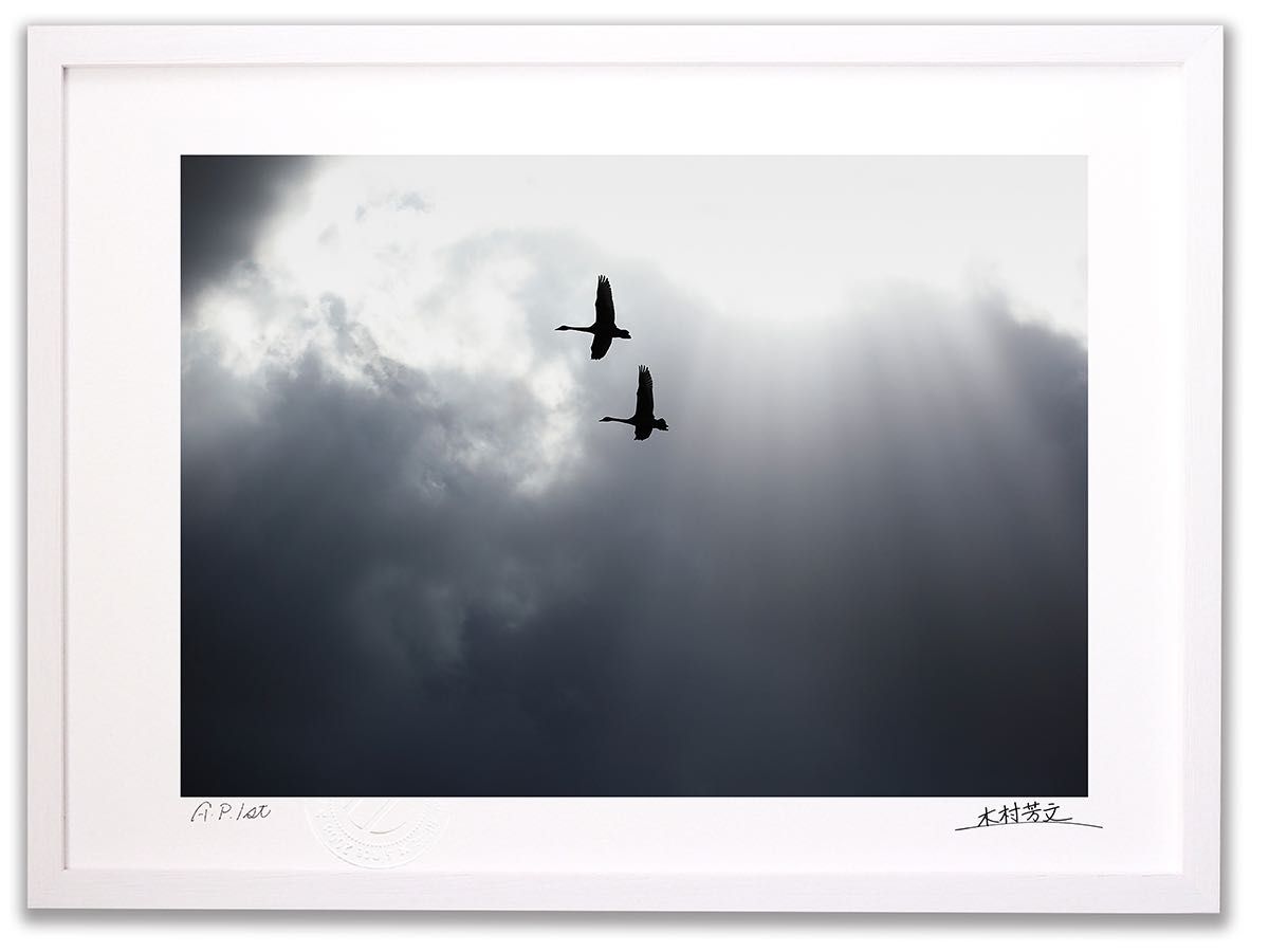 絵画 アクリル絵 額縁 キャンバス 白鳥 風景画 絵画アクリル絵額縁