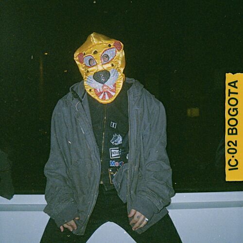 アンノウンモータルオーケストラ　レコード Unknown Mortal Orchestra – Unknown Mortal Orchestra – Vinyl