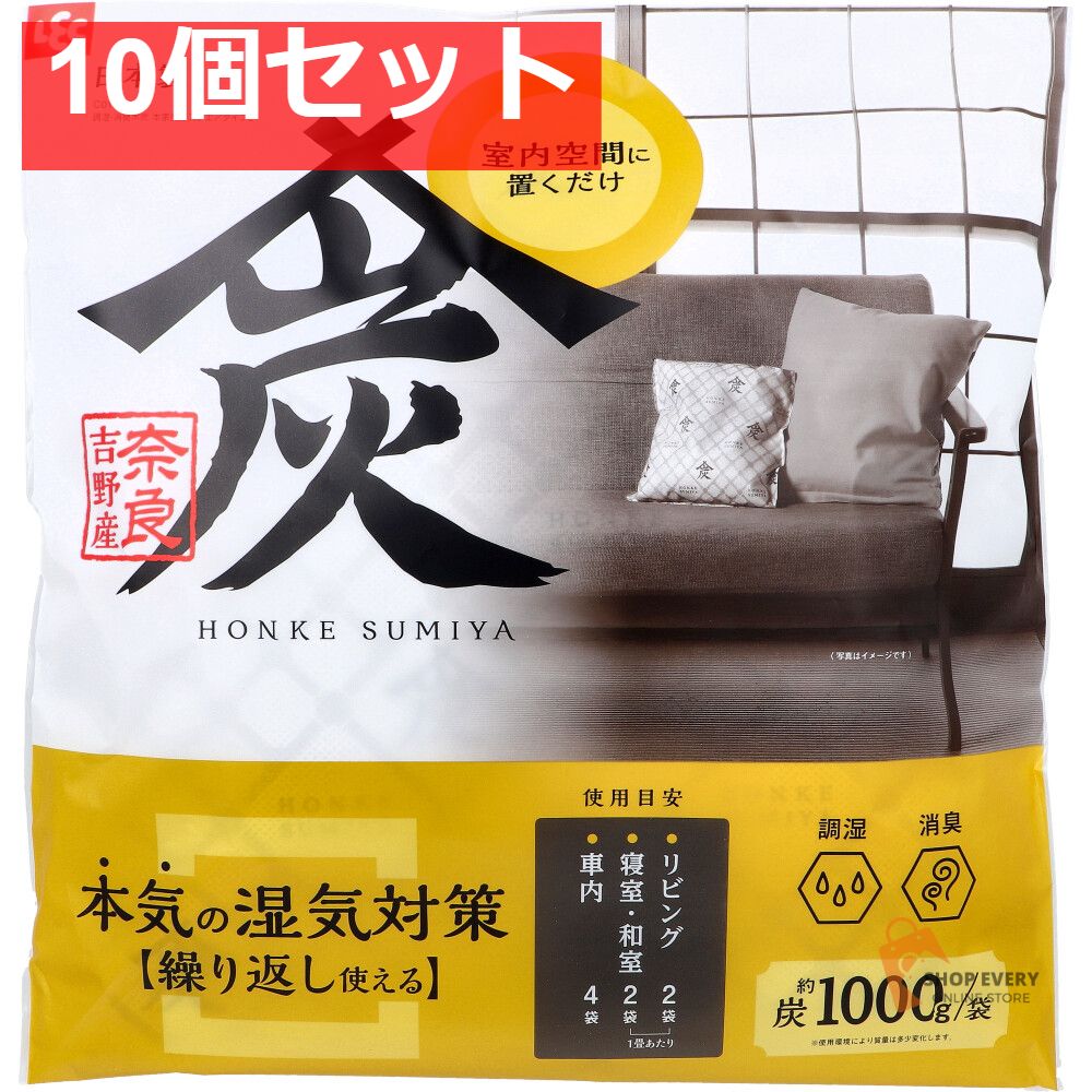 調湿 消臭木炭 本家炭屋 スクエアタイプ L 1個入 10個セット