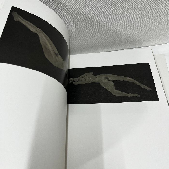 加山又造全版画集 1955-1984 平凡社 大型本 - メルカリ