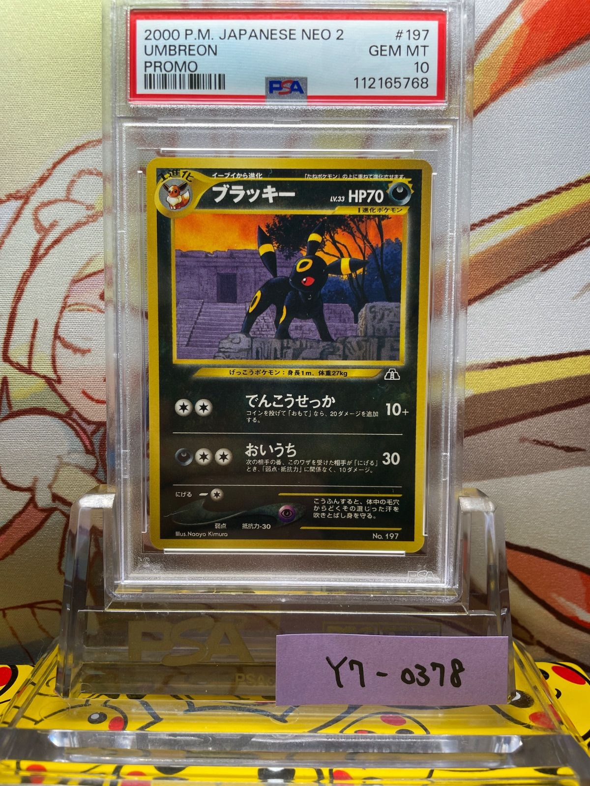 PSA10 ブラッキー 旧裏 プロモ 197 2000 プレミアムファイル2