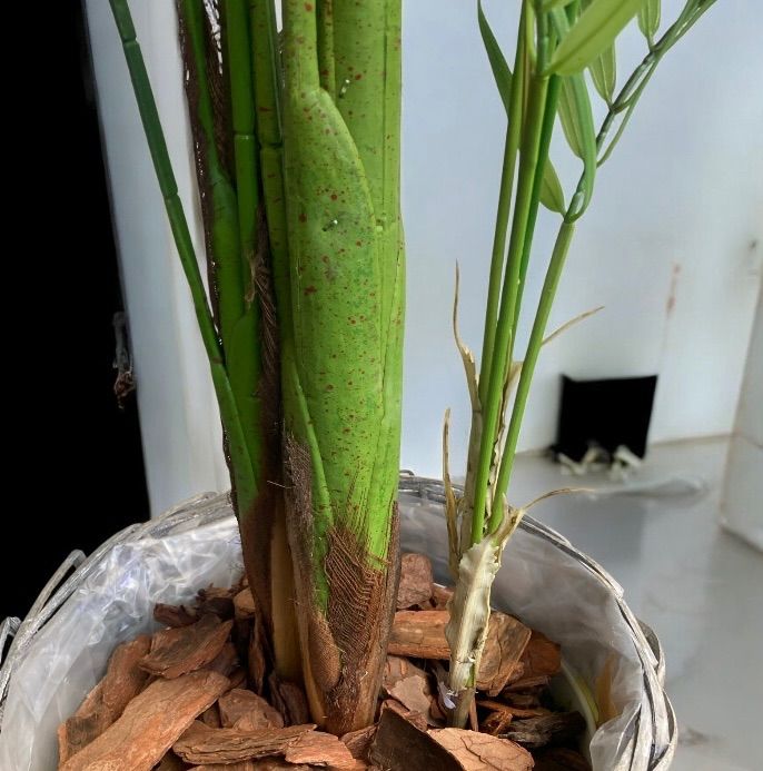 光触媒 人工観葉植物 ウォールグリーン フェイクグリーン 花器付 