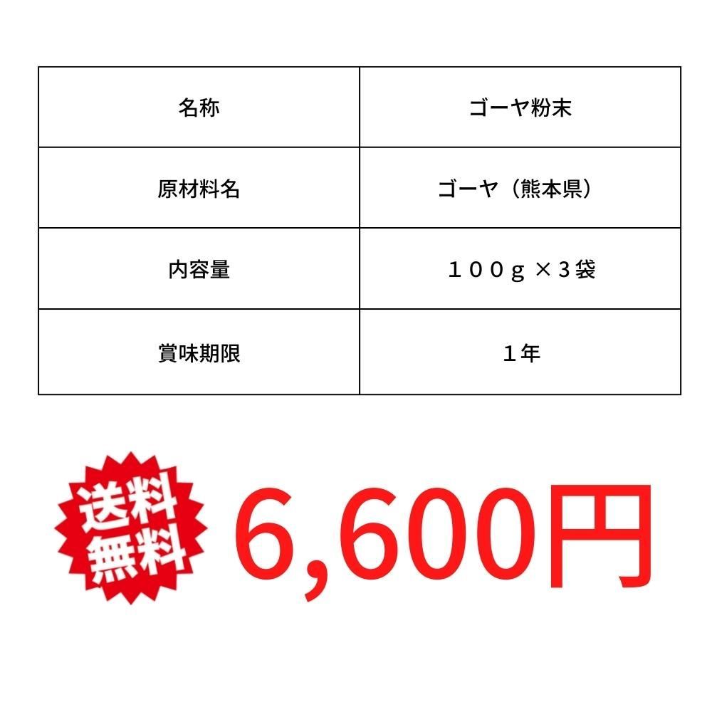 無添加・無着色 ゴーヤ丸ごと粉末100g3袋セット(農薬不使用)6600円相当