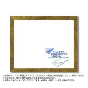 デッサン額 569B 大衣 509×394mm 金柄紋 ポスター デッサン 水彩画 絵画 画用紙 UVカットアクリル 額 額縁 フレーム