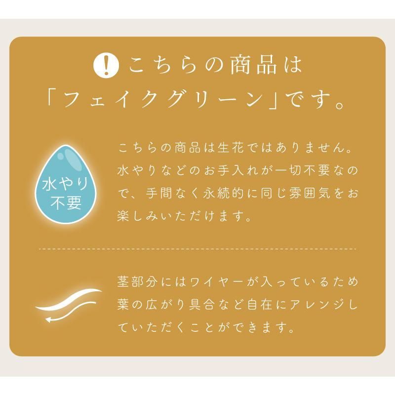おしゃれ
