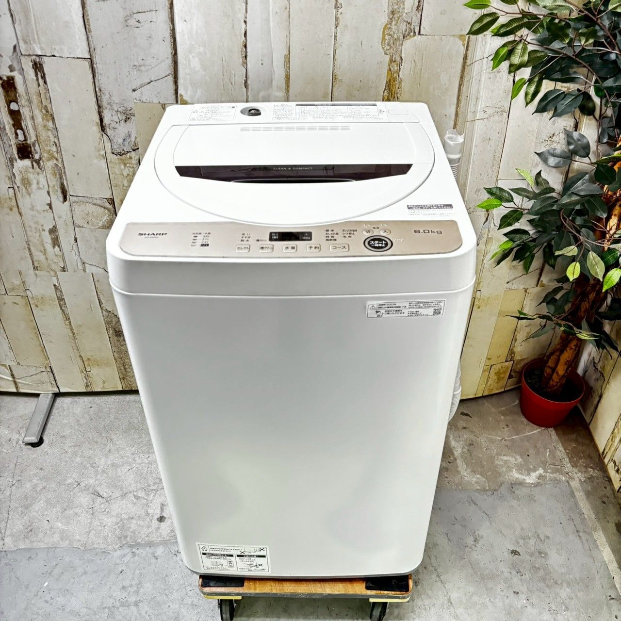 【SHARP】 シャープ 全自動電機洗濯機 洗濯6.0㎏ 風乾燥3.0kg ES-GE6G-T 2023年製 2023年製】 SHARP シャープ ES-GE6G-T 洗濯機 6.0kg シャープ 洗濯乾燥機