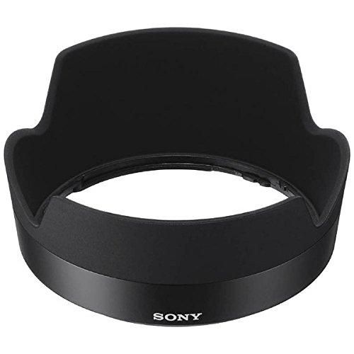 鉢 陶器 Japan Art アガベ パキプス 塊根 盆栽