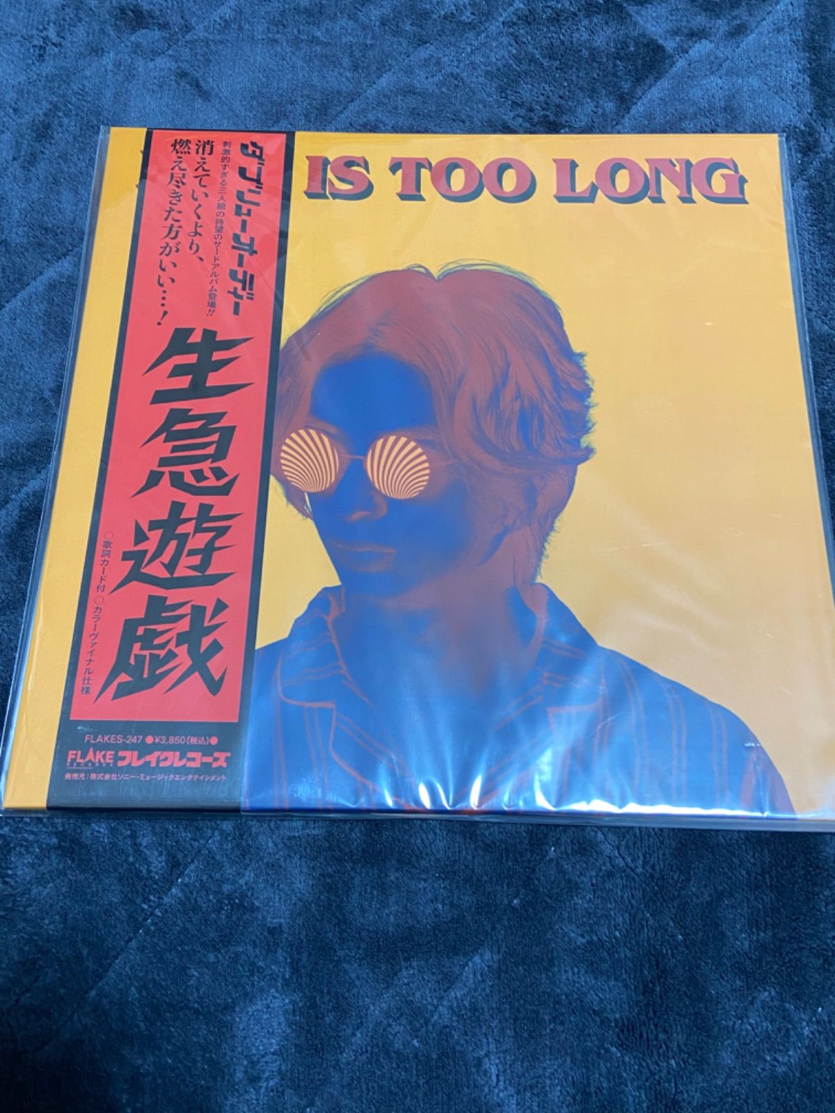 サニーデイサービスw.o.d. – Life Is Too Long アナログレコード LP - 邦楽
