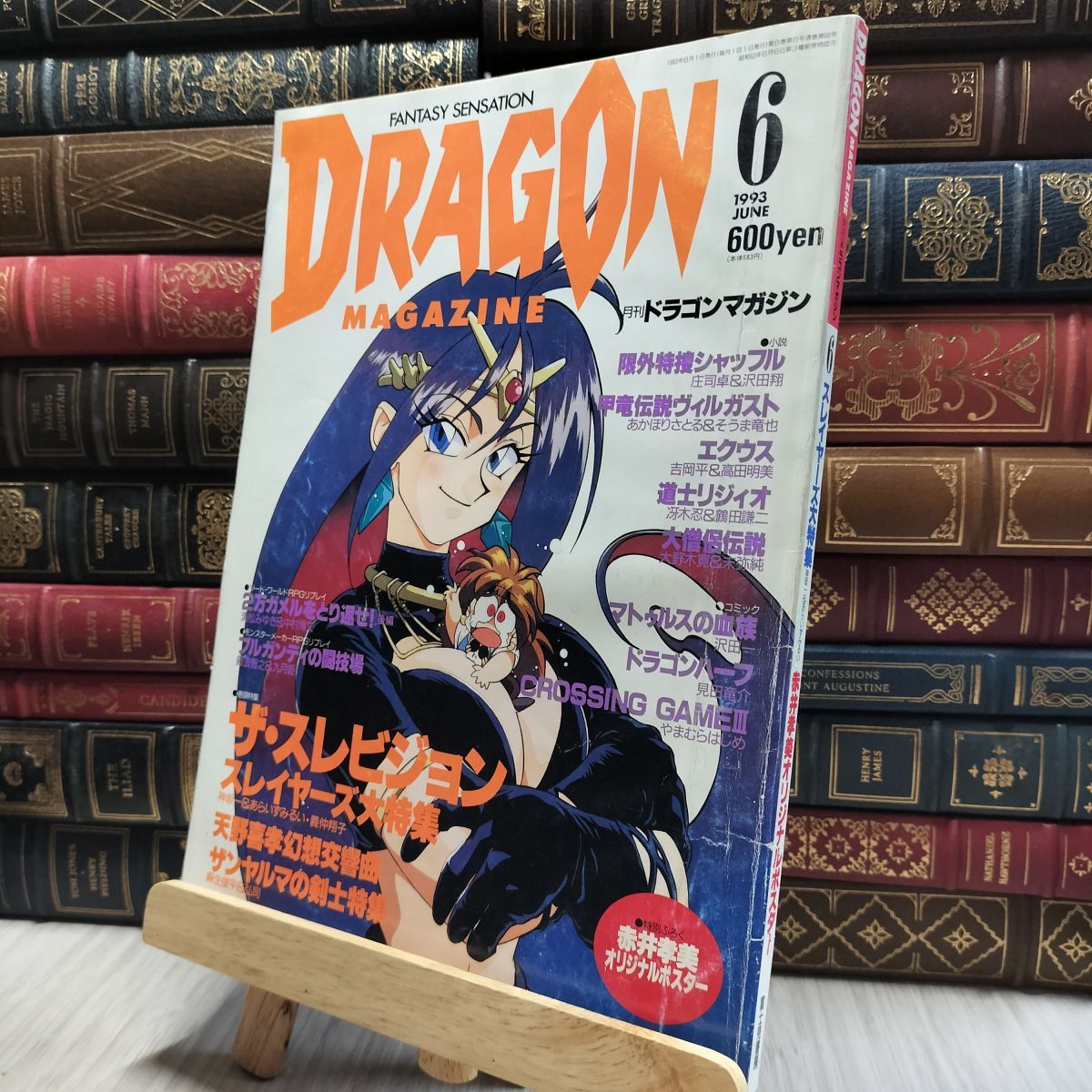 8- 月刊ドラゴンマガジン DRAGON MAGAZIN 1993年6月 庄司卓&沢田