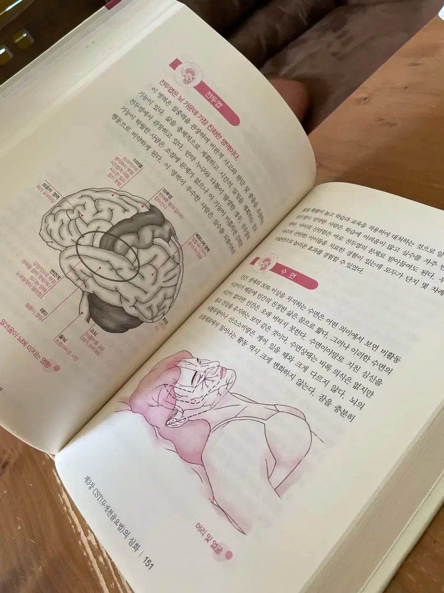 もうひとりのあなた 頭蓋仙骨治療法体性感情解放法(J.E.アプレジャー (