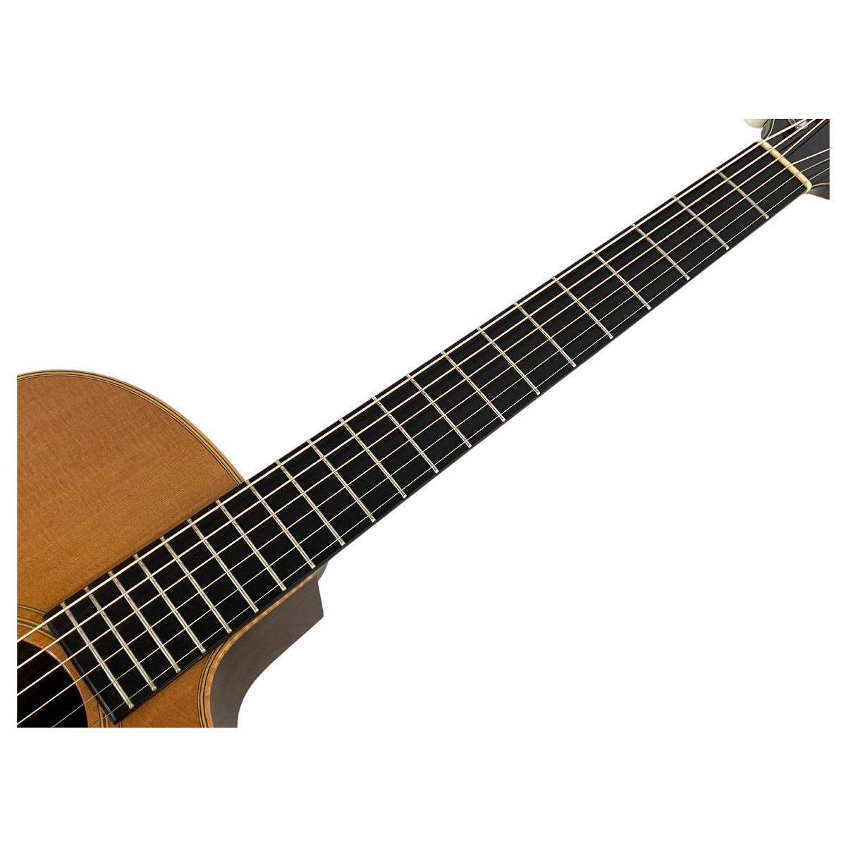 VG アコースティックギター カッタウェイ エレガットハードケース付き