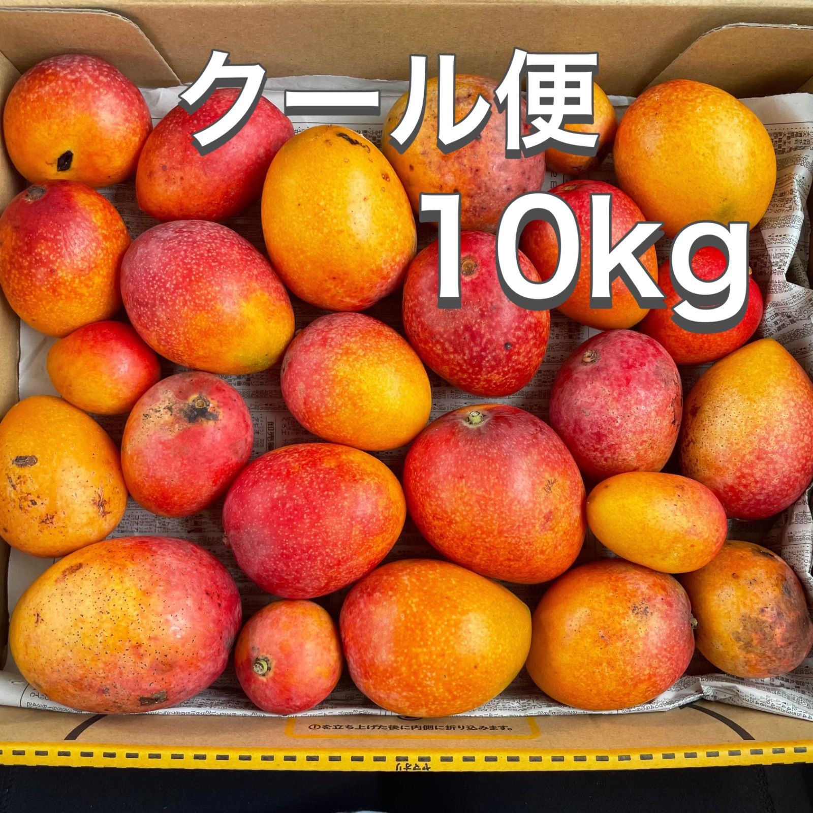 沖縄県産 【訳あり】完熟アップルミニマンゴー10kg - メルカリ 沖縄県産 【訳あり】完熟アップルミニマンゴー10kg - メルカリ