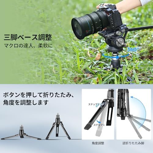 パンチルトフルヘッドと三脚ベース付き