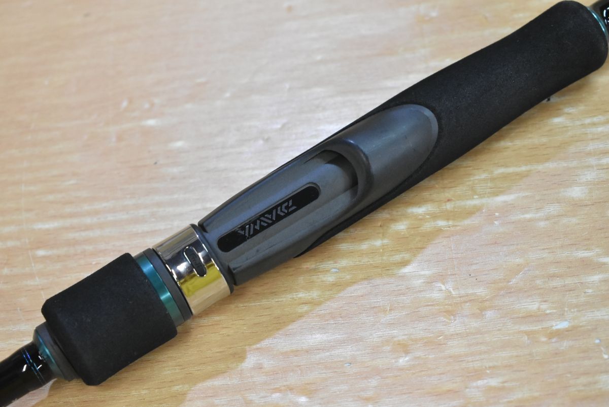 アオリイカ コウイカ