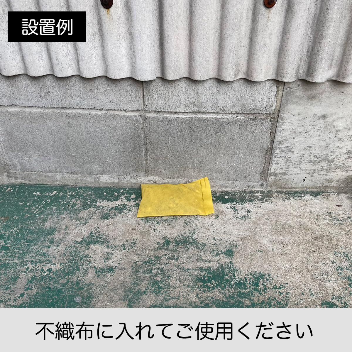 天然ヒトデ