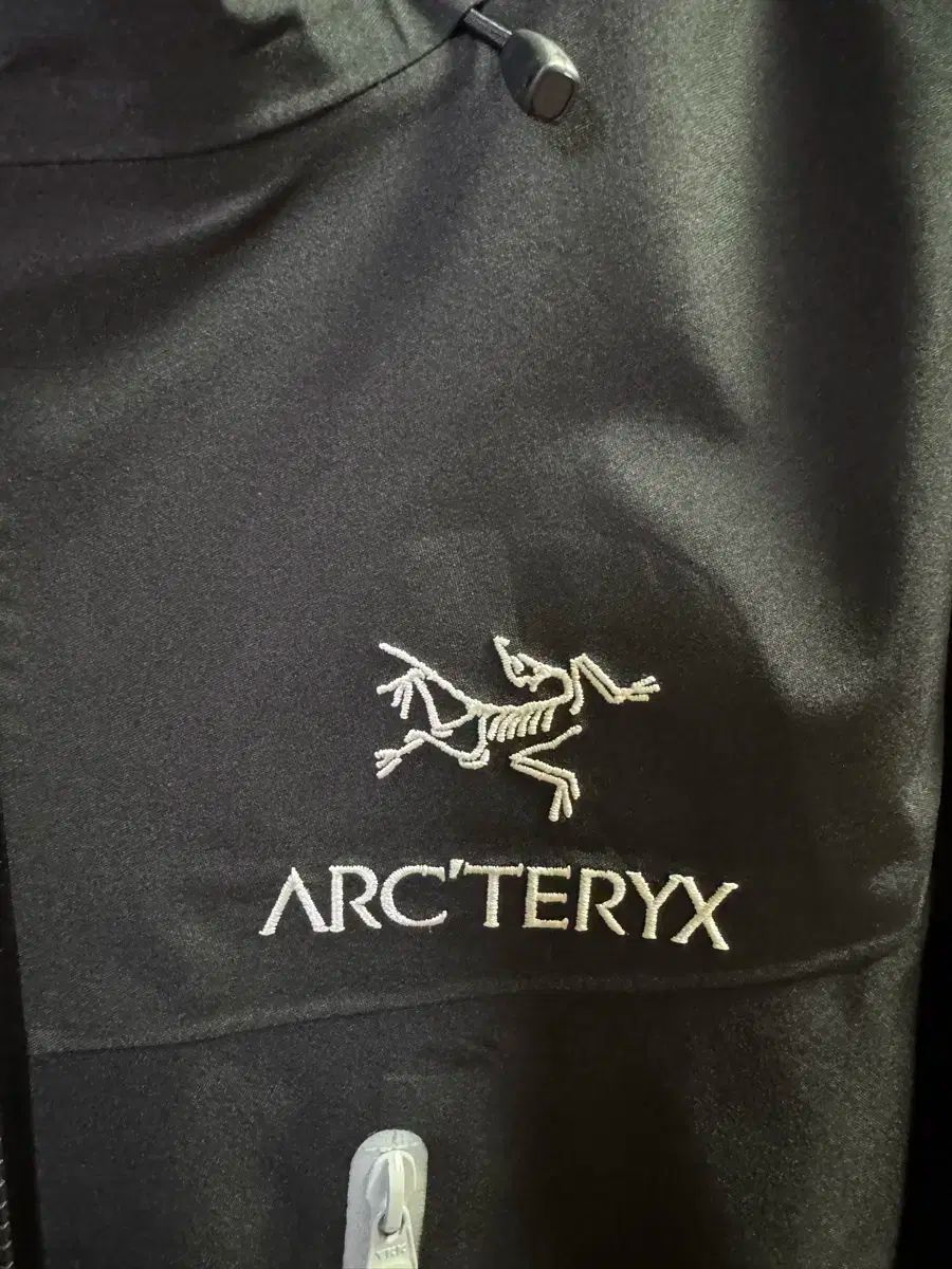 ARC TERYX アークテリクス アルファ SV オルカ XS サイズ