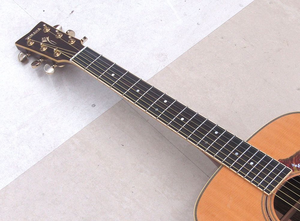 アコースティックギター DW-10