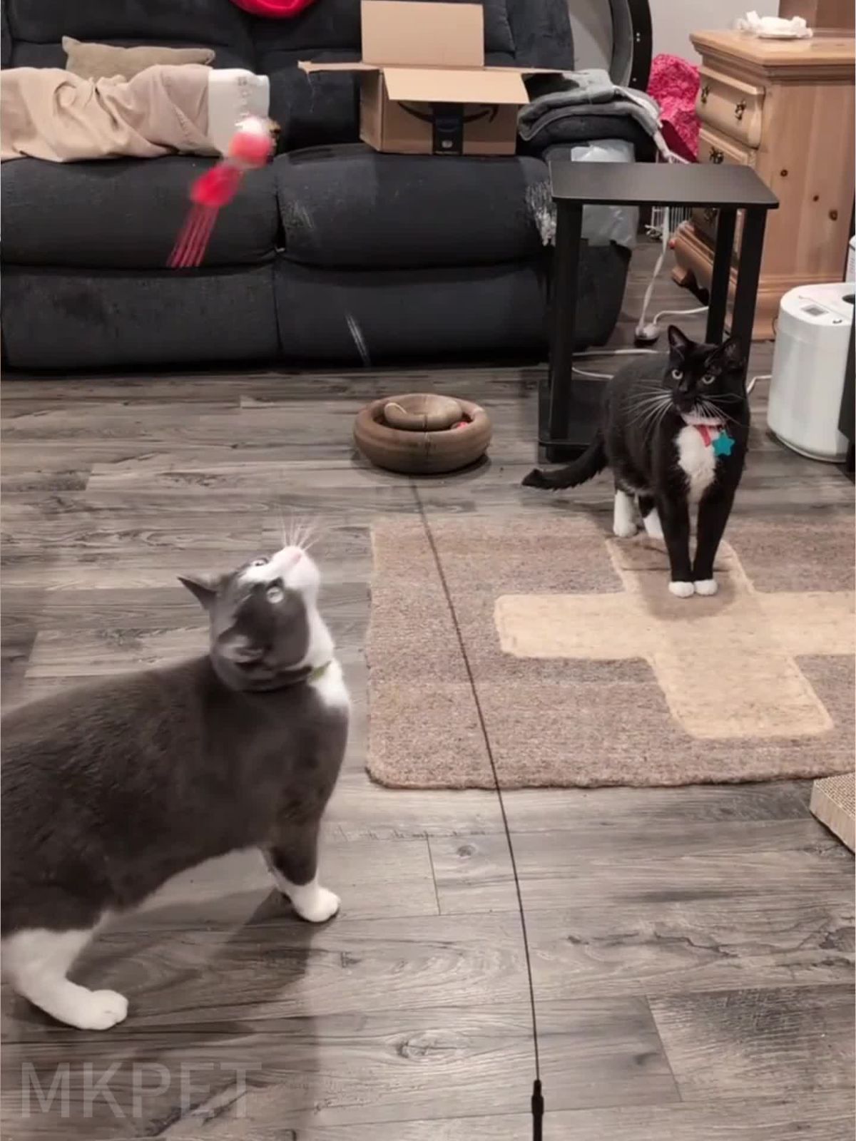 ベル付き 強力吸盤