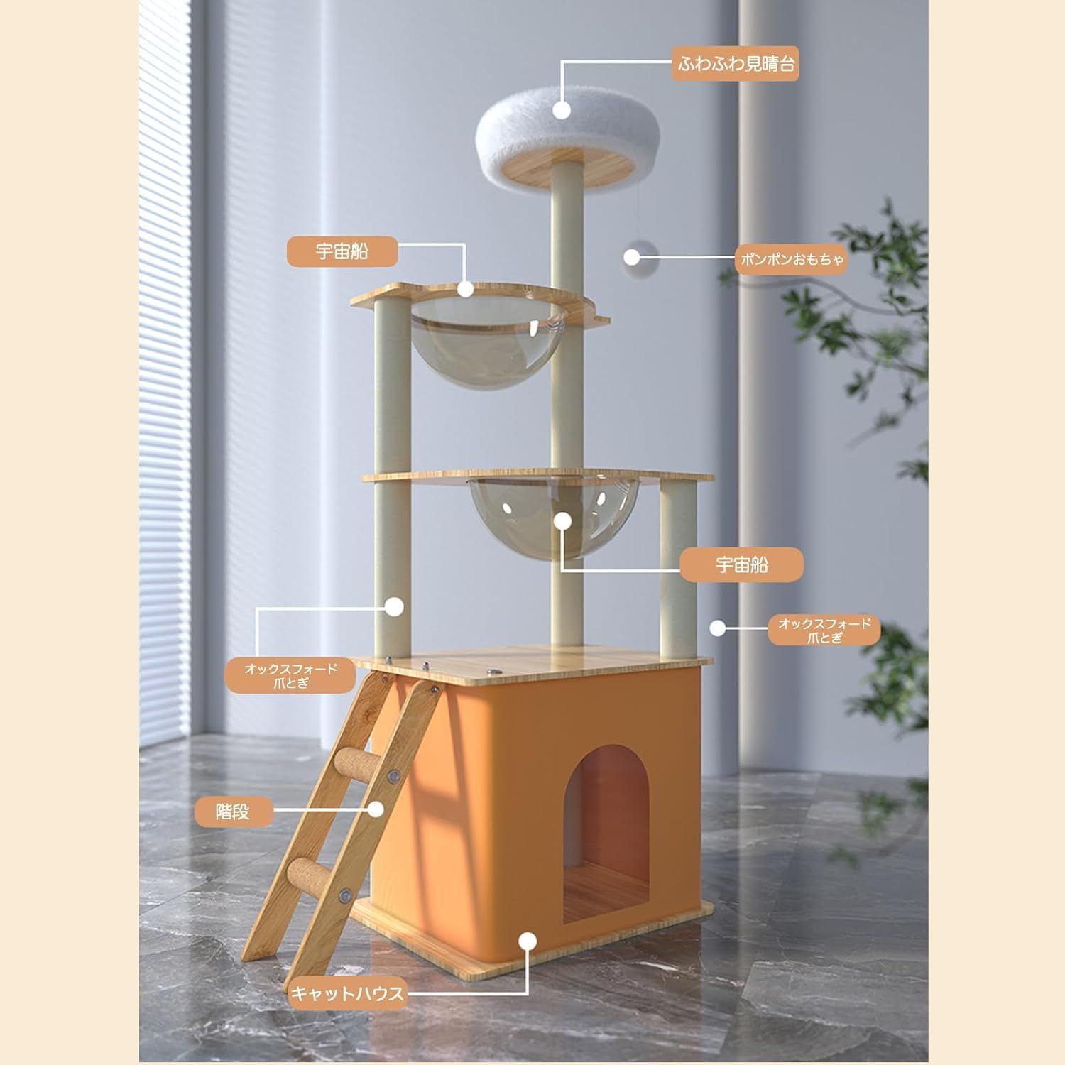 銘々皿　輪島塗　5  榎木　盛　作 銘々皿 輪島塗 5 榎木 盛 作